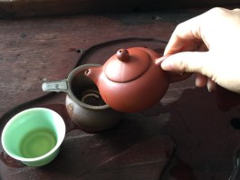 上海品茶1000以内【2020上海品茶】